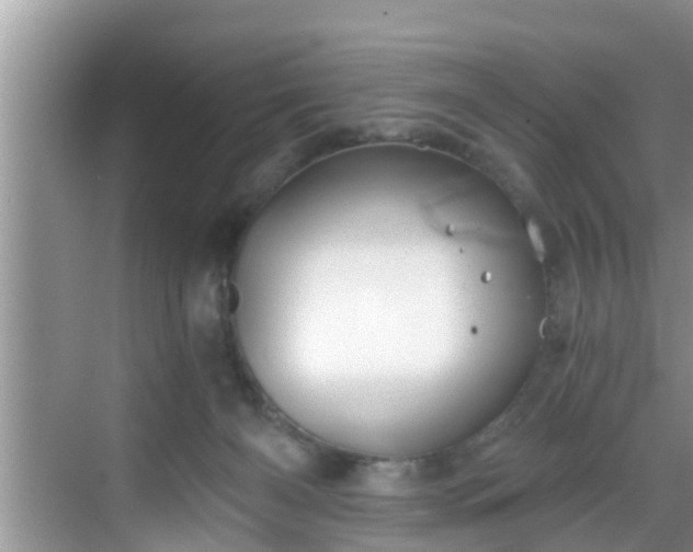 X0000068850126200605121419