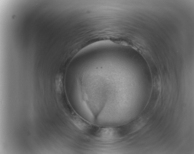 X0000068850127200605121419