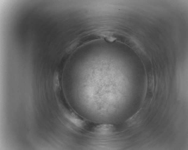 X0000068850128200605121419