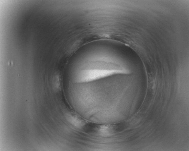 X0000068850130200605121419