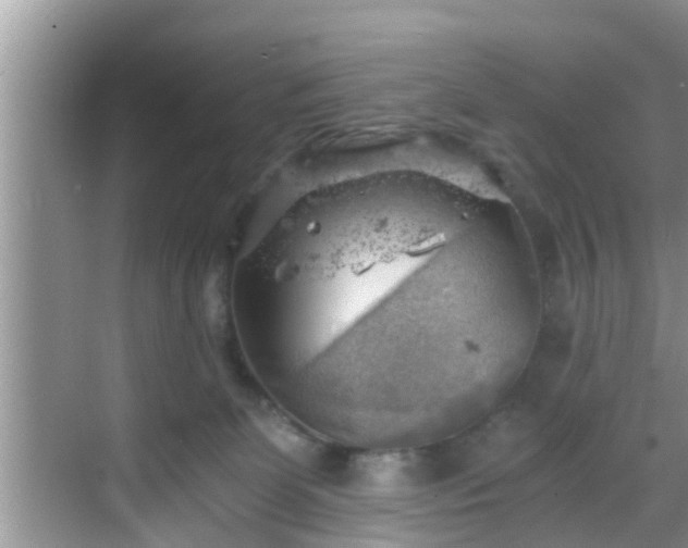 X0000068850131200605121419