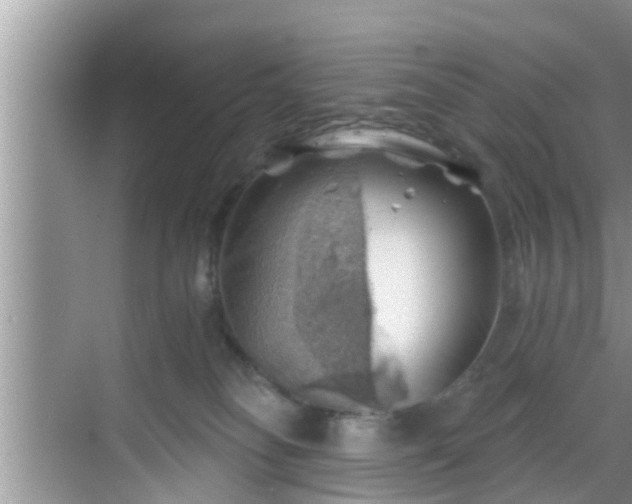 X0000068850134200605121419