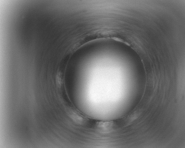 X0000068850135200605121419