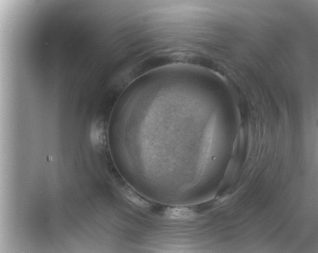 X0000068850137200605121419