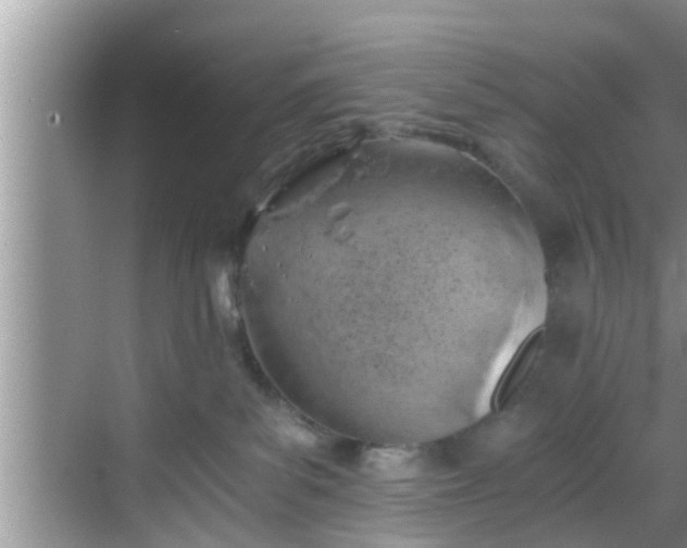 X0000068850139200605121419