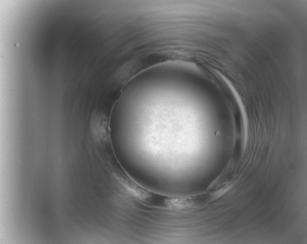 X0000068850141200605121419