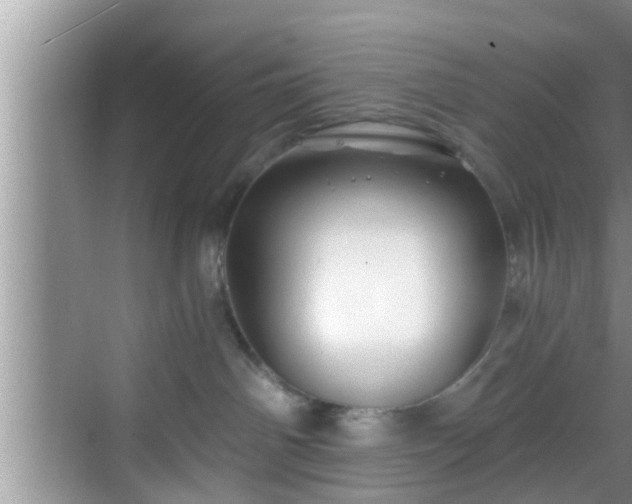 X0000068850142200605121419