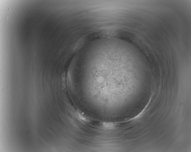 X0000068850144200605121419