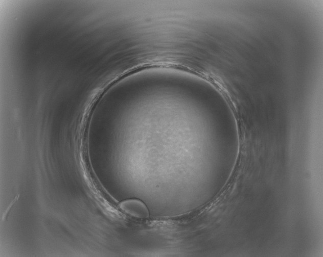 X0000068850145200605121418