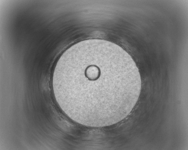 X0000068850146200605121418