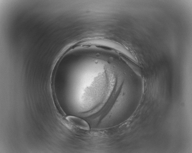 X0000068850147200605121418