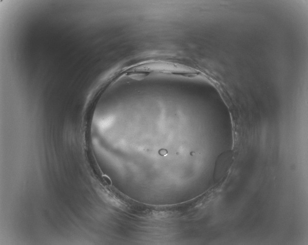 X0000068850149200605121418