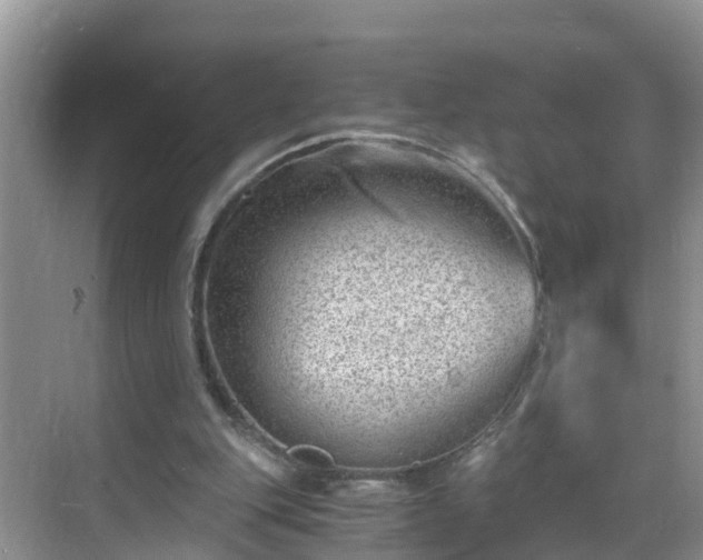 X0000068850151200605121418