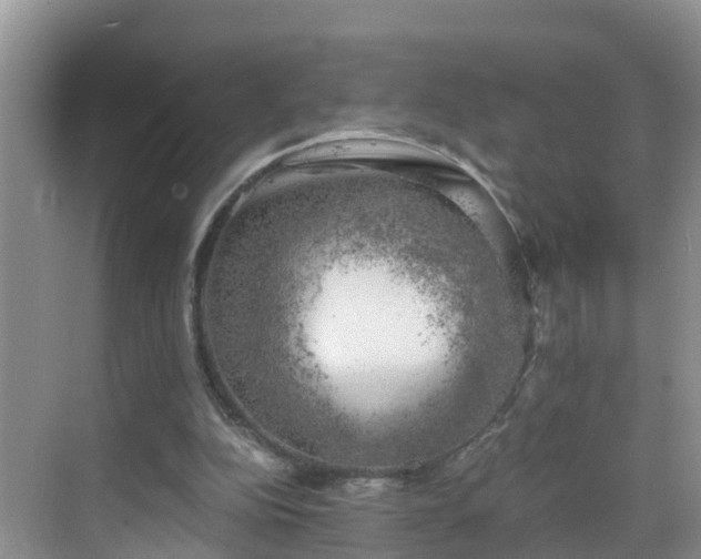 X0000068850152200605121418