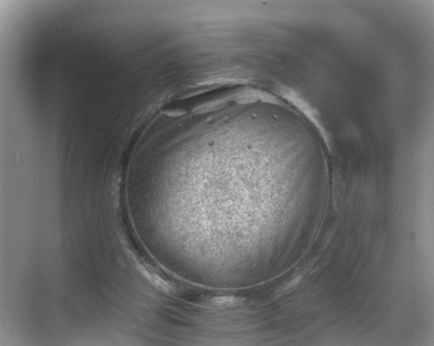 X0000068850153200605121418