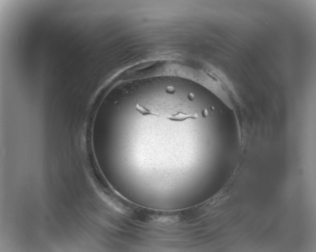 X0000068850155200605121418