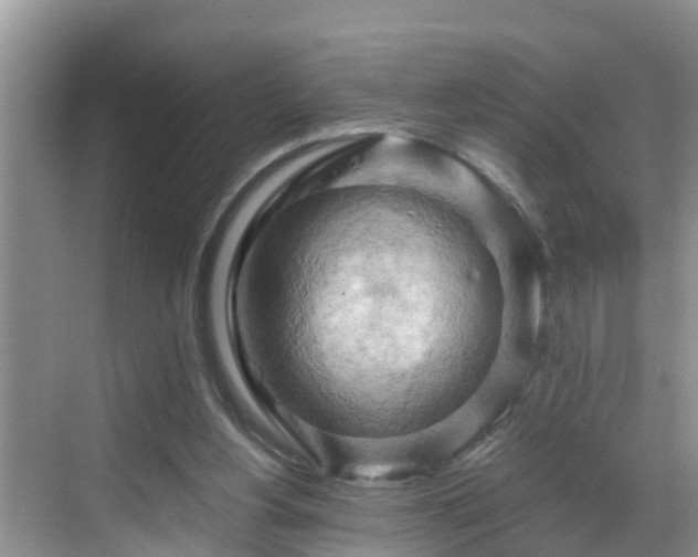 X0000068850156200605121418