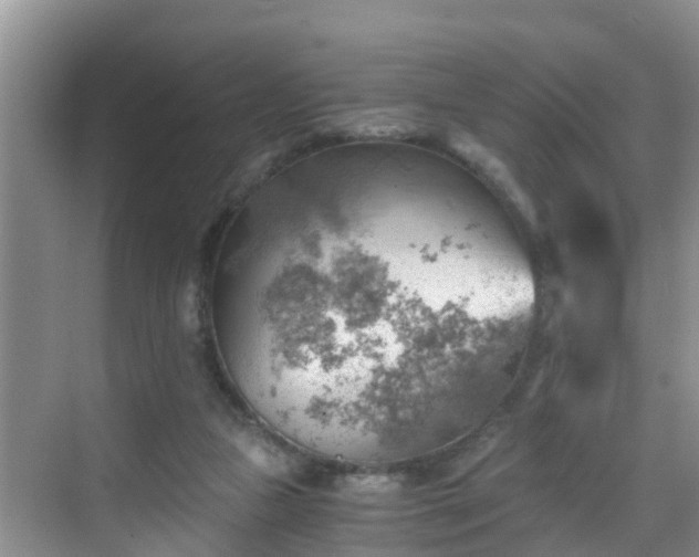 X0000068850161200605121418