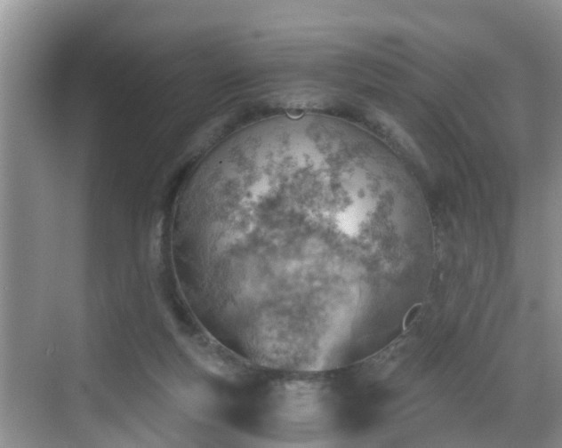 X0000068850163200605121418