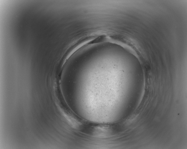 X0000068850164200605121418