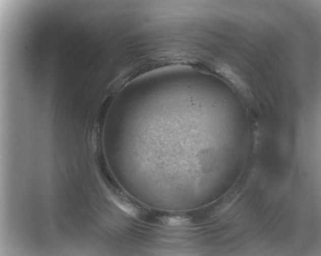 X0000068850165200605121418