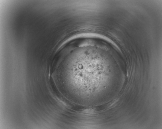 X0000068850168200605121418