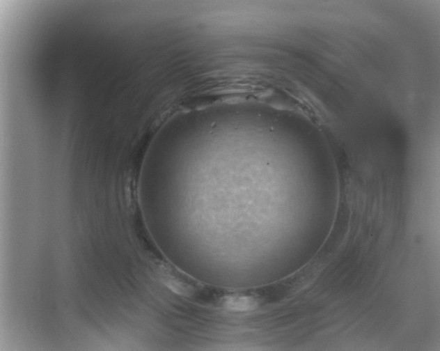 X0000068850169200605121418