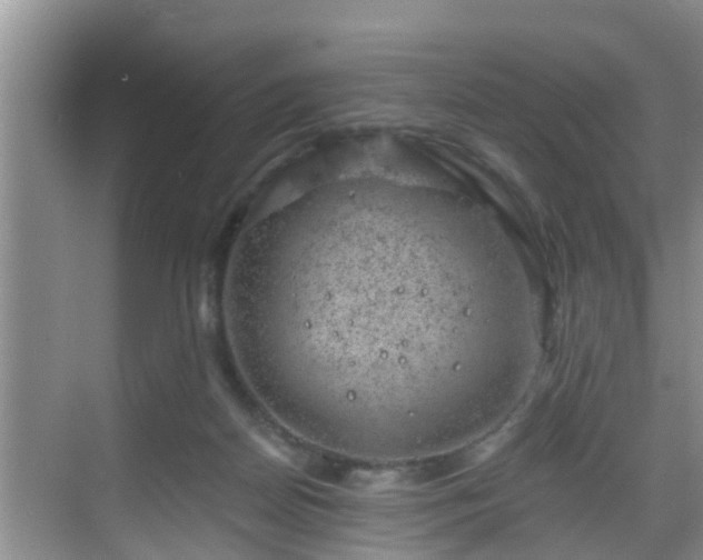 X0000068850170200605121418