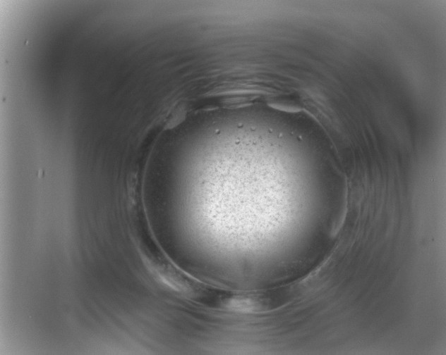 X0000068850171200605121418