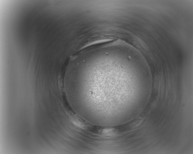 X0000068850173200605121418