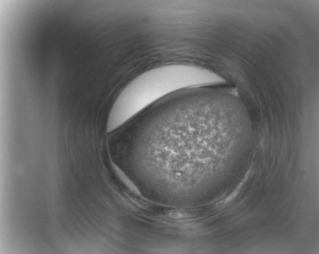 X0000068850174200605121418