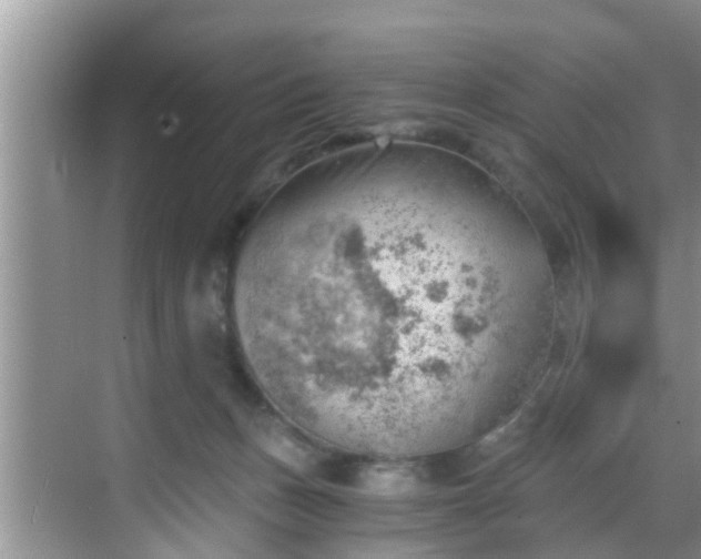 X0000068850175200605121418