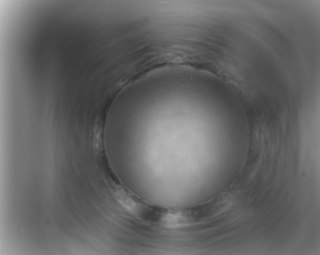 X0000068850177200605121418