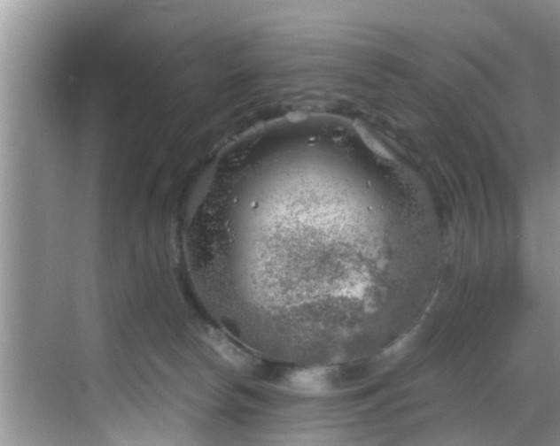 X0000068850178200605121418