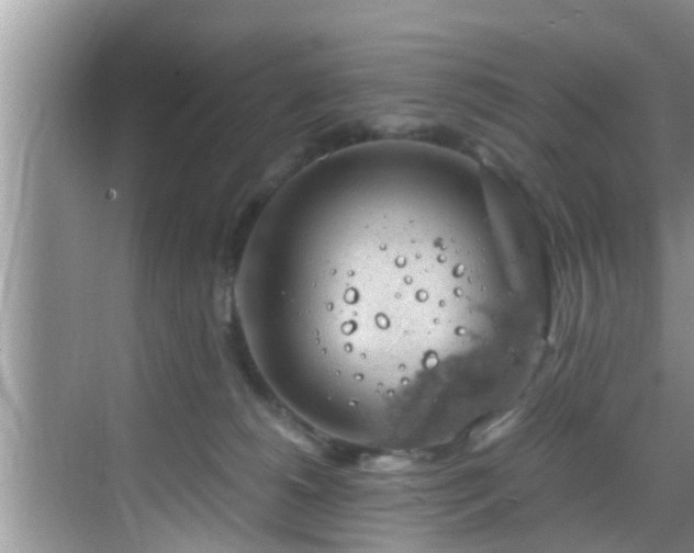 X0000068850180200605121419