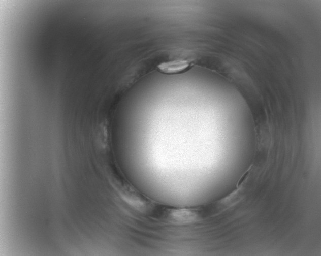 X0000068850183200605121419