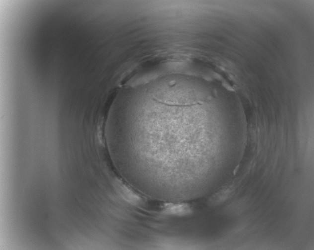 X0000068850185200605121419