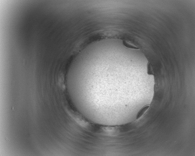 X0000068850187200605121419