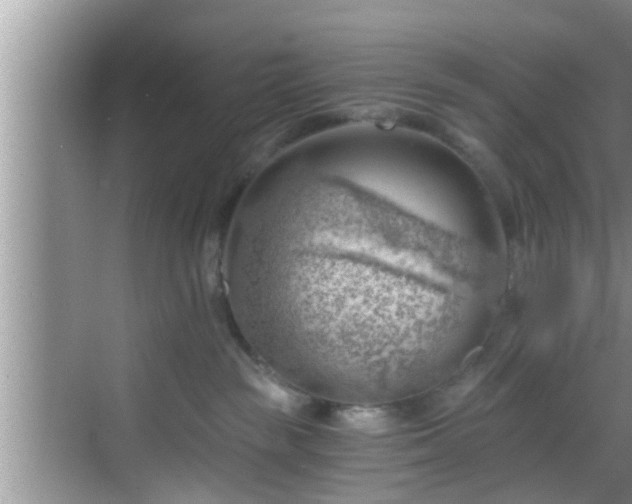 X0000068850189200605121419