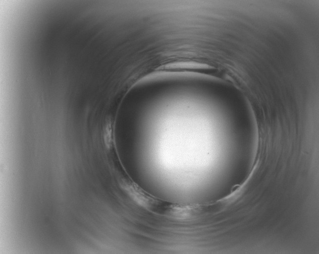 X0000068850190200605121419