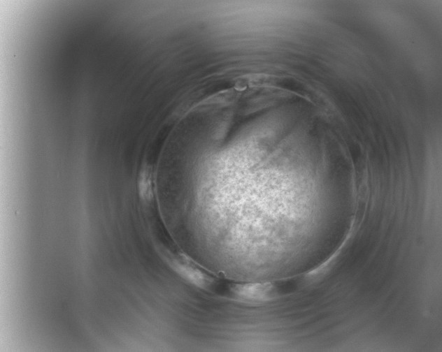 X0000068850191200605121419