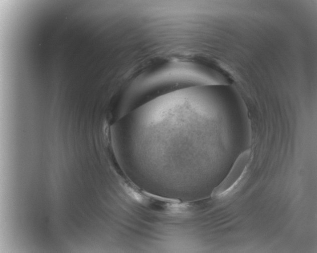 X0000068850192200605121419