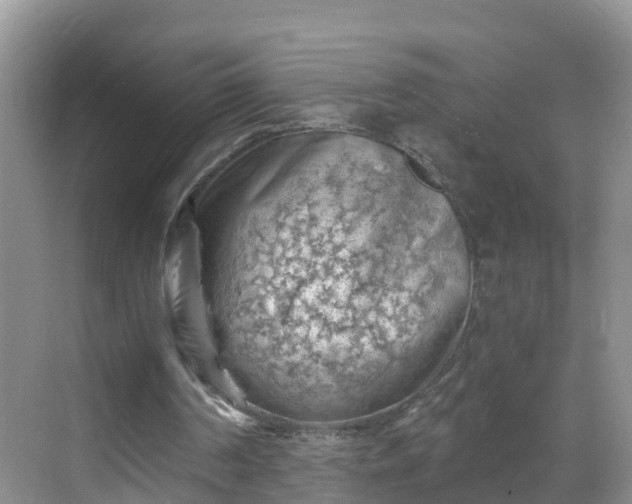 X0000068850194200605121418