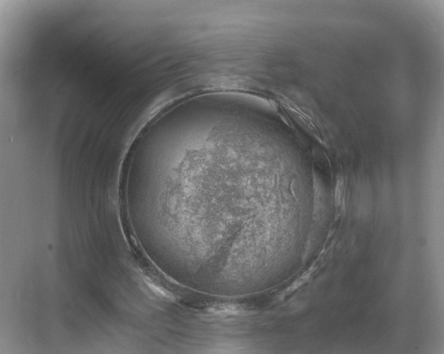 X0000068850195200605121418