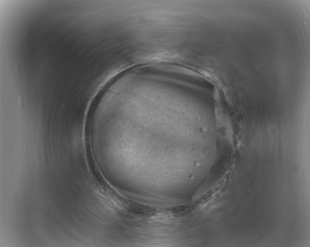 X0000068850196200605121418