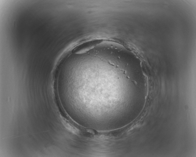 X0000068850197200605121418