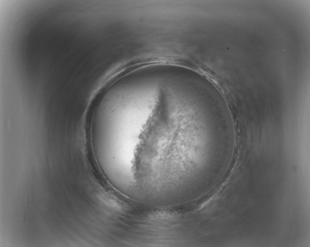 X0000068850198200605121418