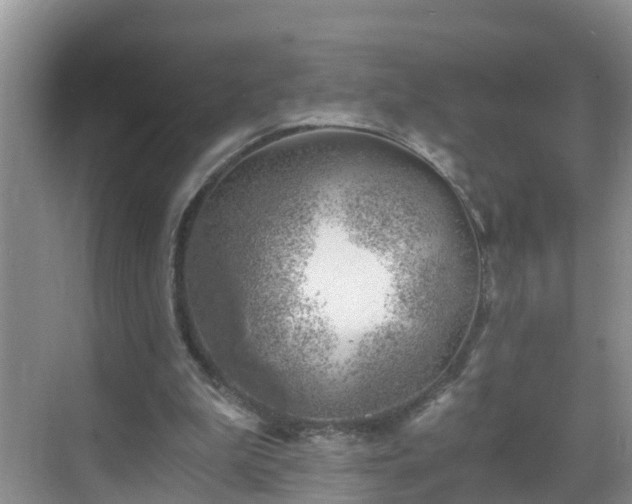 X0000068850199200605121418