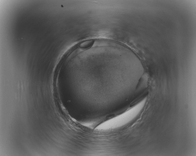 X0000068850200200605121418