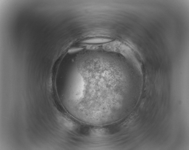 X0000068850202200605121418